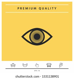 Eye symbol icon with iris. Graphic elements for your design