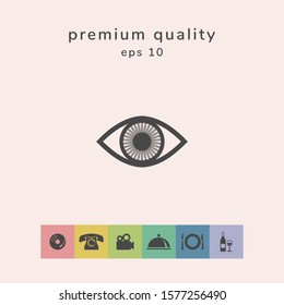 Eye symbol icon with iris. Graphic elements for your design