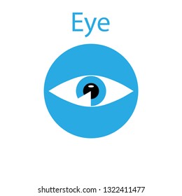Eye symbol. An isolated element of blue on a white background.