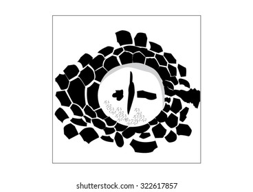 eye symbol zoo