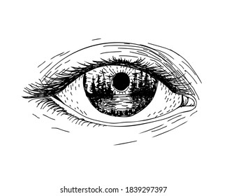 The eye that reflects the landscape. Vector illustration