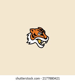 eye tiger animal logo symbol in isolated background vector