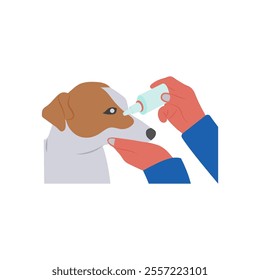 Eye Treatment, Veterinary Flat Vector Illustration