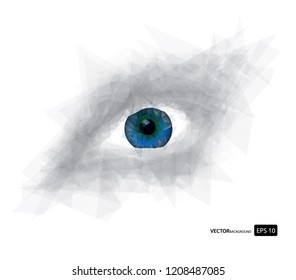 eye in triangle pattern style isolated on the white background