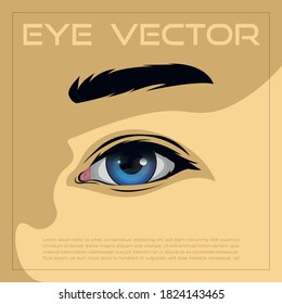 Arte vector de ojos, ojo de lujo sexy de la mujer dibujada a mano con cejas perfectamente formadas y azotes completos. Idea para tarjeta de visita de negocios, vector tipográfico. El aspecto de salón perfecto.