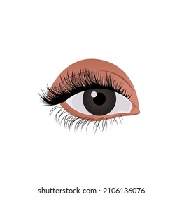Eye vector art, stock image