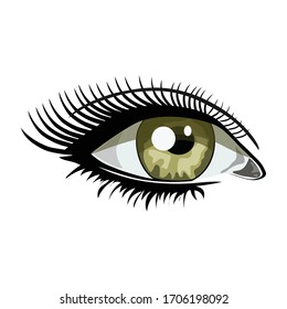 Vector de ojos - ilustración hermosa vector de ojo verde