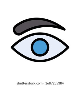eye vector flat color icon 