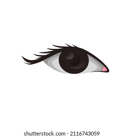 an eye vector in vector form. suitable for many purposes.
