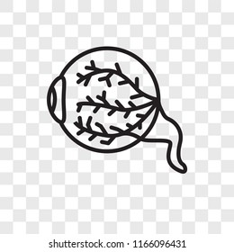 Eye vector icon isolated on transparent background, Eye logo concept