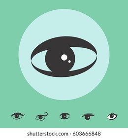 Eye Vector Icon Isolated. Ophthalmologist Logo or Element for Web and Design