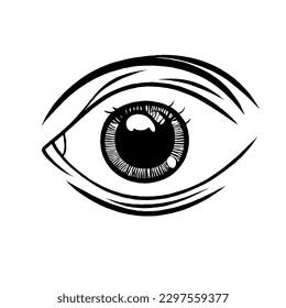 Eye Vector Icon Minimal Line Art With No White Background