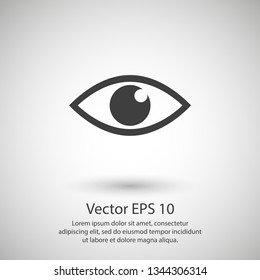 Eye vector icon. Open eye icon, The eye of the beholder. Web design icon. Symbol of the human eye. Vector EPS 10