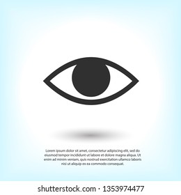 Eye vector icon. Open eye icon, The eye of the beholder. Web design icon. Symbol of the human eye. Vector EPS 10