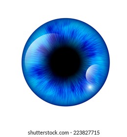 Eye. Vector illustration