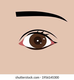 Eye vector illustration. Brown eyes