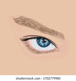 Eye vector illustration. Eyes vector. Realistic drawing. Woman glance.