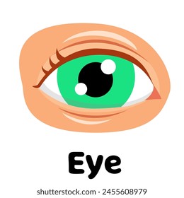 eye vector illustration good template for wallpaper, poster, banner