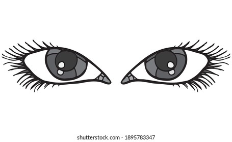 eye vector illustration,
isolated on white background.Top view