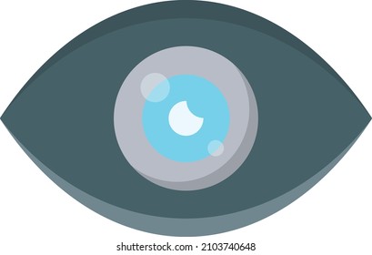 eye Vector illustration on a transparent background.Premium quality symmbols.Vector line flat icon for concept and graphic design.
