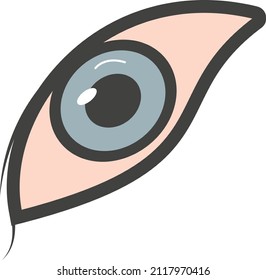 ilustración de eye Vector en un fondo transparente.Símbolos de calidad premium.Icono plano de línea vector para el diseño de concepto y gráfico.
