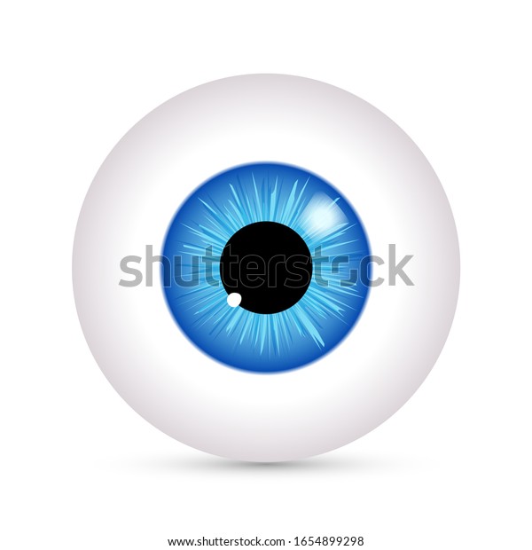 Eye Vector Look Icon Eyeball Vision Stock Vector (royalty Free 