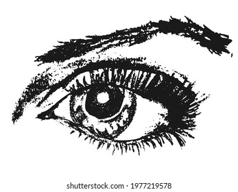 Eye vector sketch. Hand drawn vector sketch of woman eye. Black and white illustration isolated on white background.