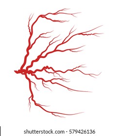 diseño de icono de símbolo de vector rojo de la vena visual. Hermosa ilustración aislada en fondo blanco
