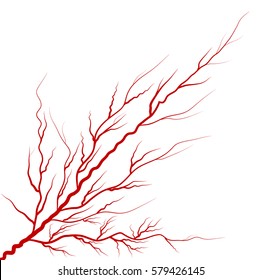 diseño de icono de símbolo de vector rojo de la vena visual. Hermosa ilustración aislada en fondo blanco