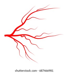 eye vein vector symbol icon design. Beautiful illustration isolated on white background