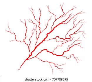 eye vein vector symbol icon design. Beautiful illustration isolated on white background