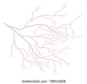 eye vein vector symbol icon design. Beautiful illustration isolated on white background