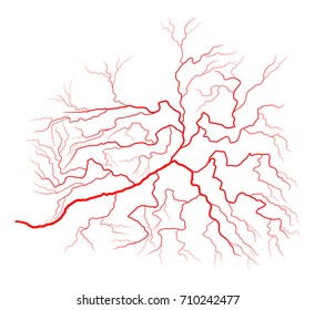 eye vein vector symbol icon design. Beautiful illustration isolated on white background