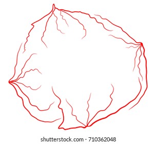 Diseño de ícono de Vector de vena de ojo. Hermosa ilustración aislada sobre fondo blanco