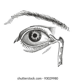 eye - - vintage engraved illustration - "Manuel des hospitalière et des garde-malaldes"  edited by  Librairie Poussielgue - Paris 1907