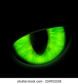 Eye of a wild animal. Stock vector image.