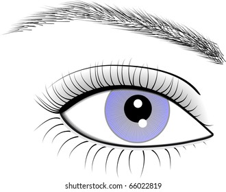 Eye of woman, vector, illustration