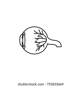 Eyeball anatomy icon, medical side view line art, image for ophthalmology patient education materials, eye doctor poster, optical salon, eye health concept on white background