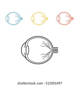 Eyeball anatomy line icon