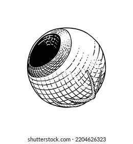 Eyeball drawn in engraving style
