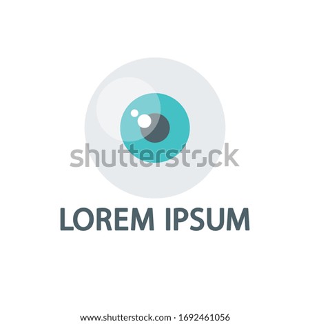 eyeball flat icon, vector illustration