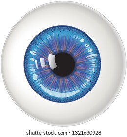 Eyeball with highlights illustration
