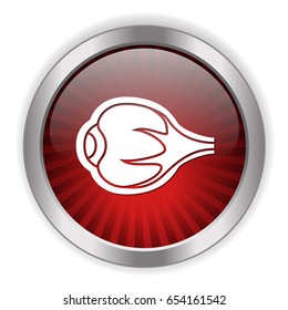 eyeball icon