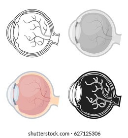 Eyeball icon in cartoon style isolated on white background. Organs symbol stock vector illustration.