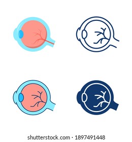 Eyeball icon set in flat and line style. Human body organ symbol. Vector illustration.