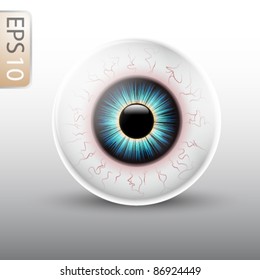 Eyeball Illustration