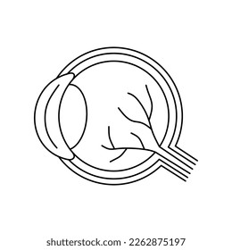 Icono de la línea de béisbol. Anatomía ocular aislada en fondo blanco. Diseño minimalista. Ilustración vectorial de la biología