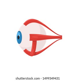 Eyeball muscles symbol. Eye anatomy in side view. Vector illustration in cartoon style isolated on white background