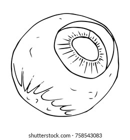 Eyeball. Vector illustration. Hand drawn eyeballs. Doodle eyeball.