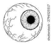 eyeball vector line art drawing illustration